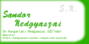 sandor medgyaszai business card